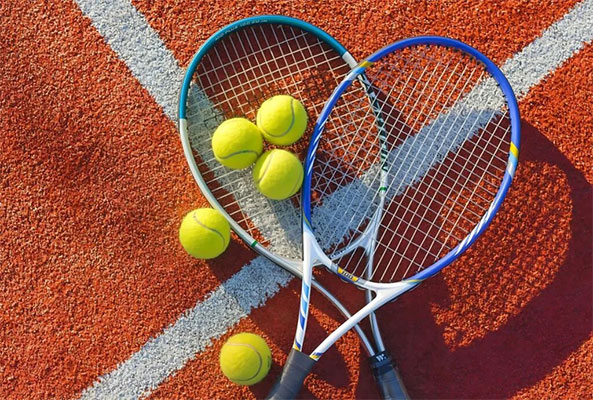 online betting id for cricket