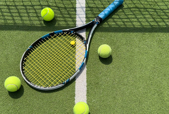 cricket betting id ReddyGro777